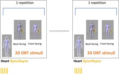 Interoception and Empathy Impact Perspective Taking
